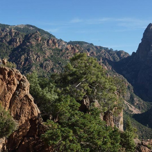 Spelunka Gorge